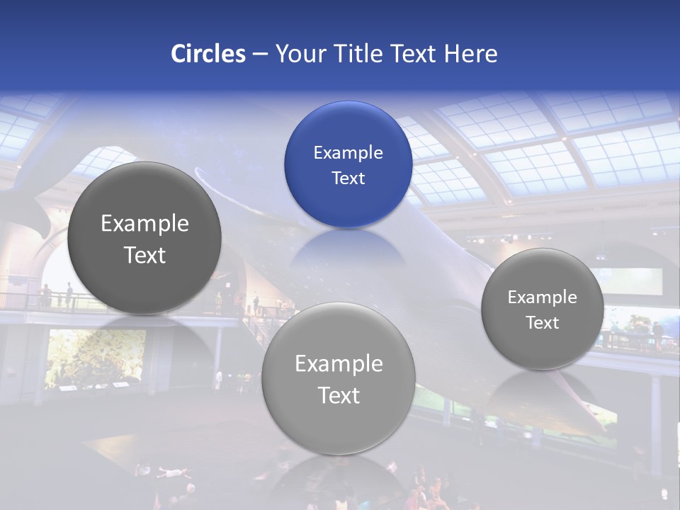 Old Whale Ape PowerPoint Template