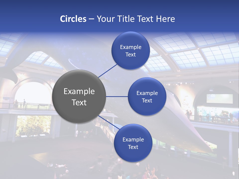 Old Whale Ape PowerPoint Template