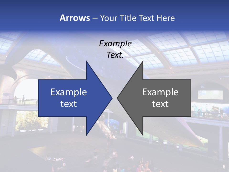 Old Whale Ape PowerPoint Template