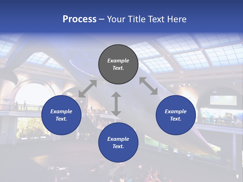 Old Whale Ape PowerPoint Template