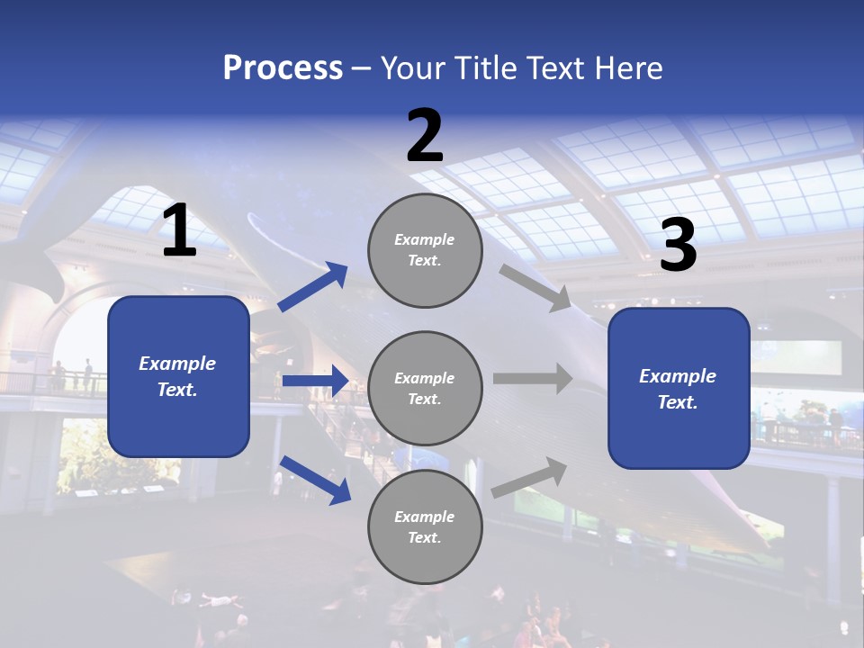 Old Whale Ape PowerPoint Template