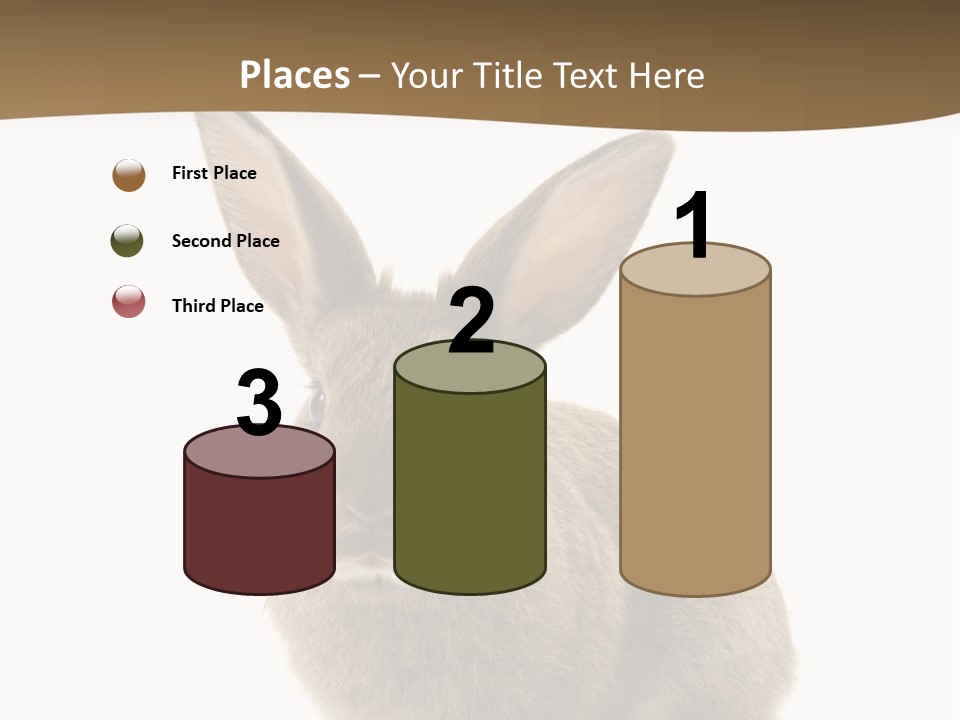 Furry Rodent Bunny PowerPoint Template