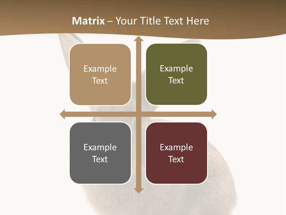 Furry Rodent Bunny PowerPoint Template