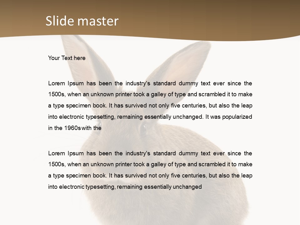 Furry Rodent Bunny PowerPoint Template
