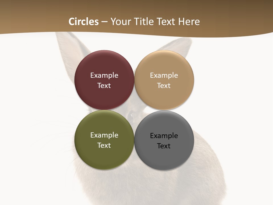 Furry Rodent Bunny PowerPoint Template