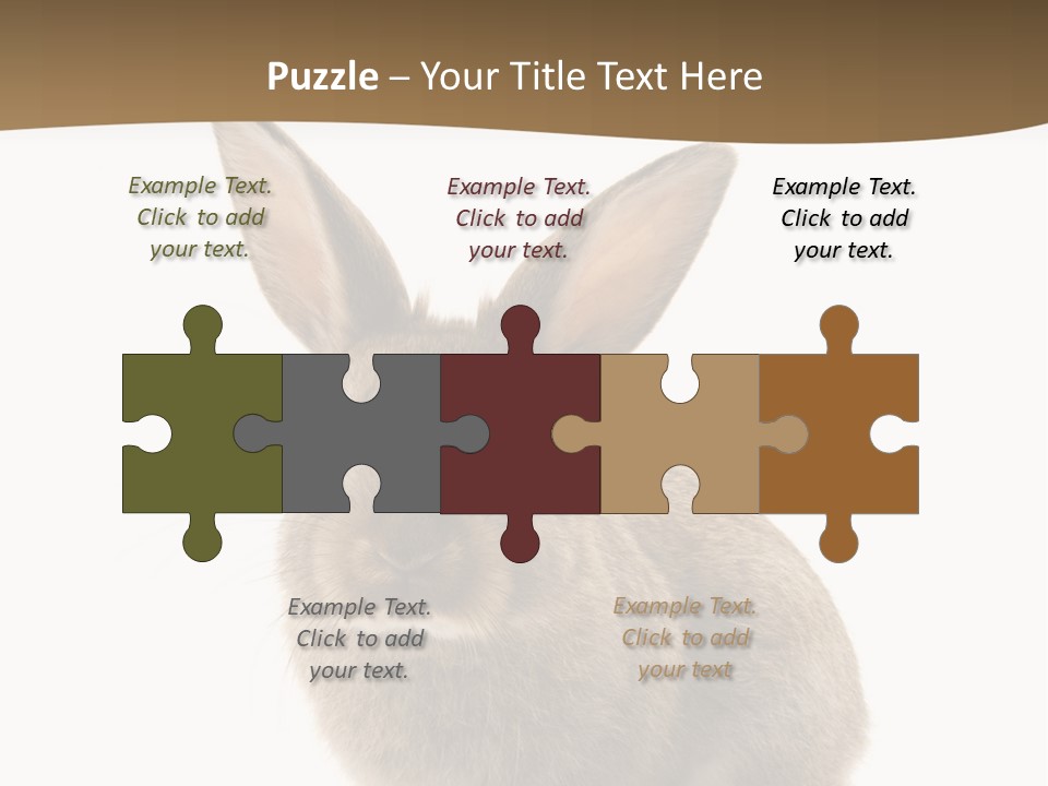Furry Rodent Bunny PowerPoint Template