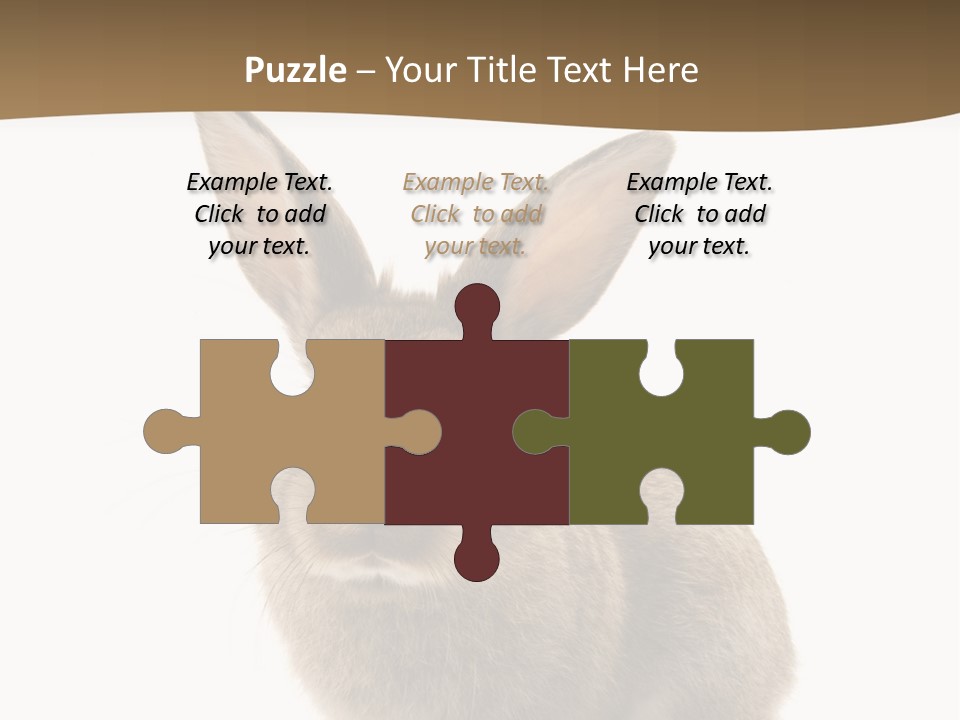 Furry Rodent Bunny PowerPoint Template