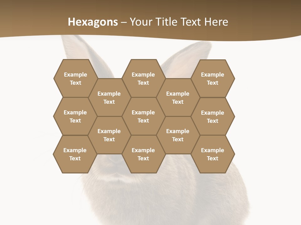 Furry Rodent Bunny PowerPoint Template