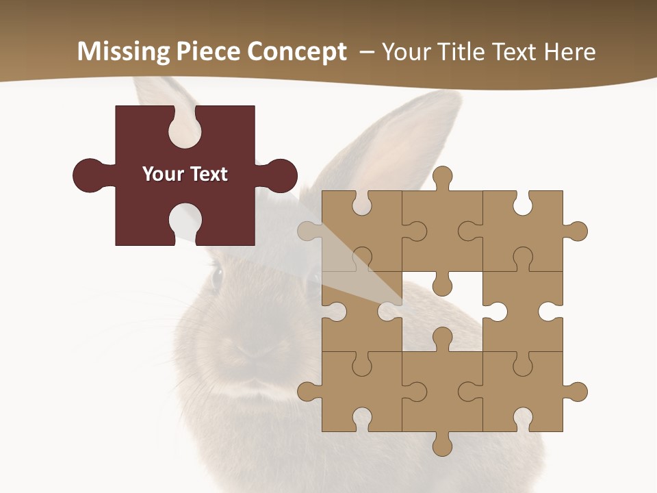 Furry Rodent Bunny PowerPoint Template
