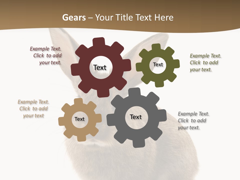 Furry Rodent Bunny PowerPoint Template