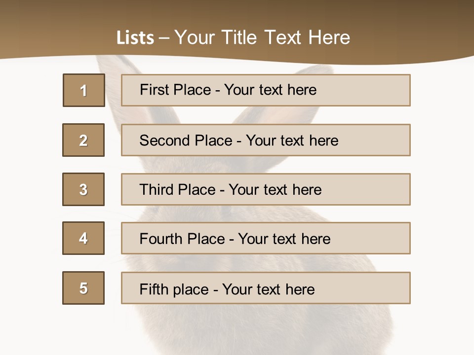 Furry Rodent Bunny PowerPoint Template