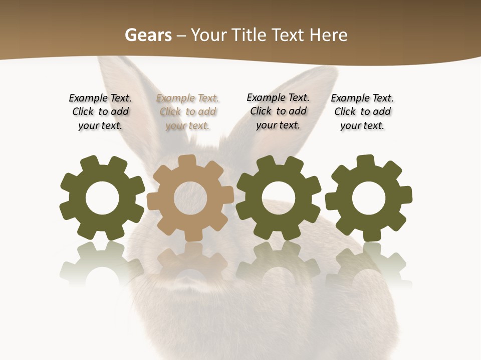 Furry Rodent Bunny PowerPoint Template