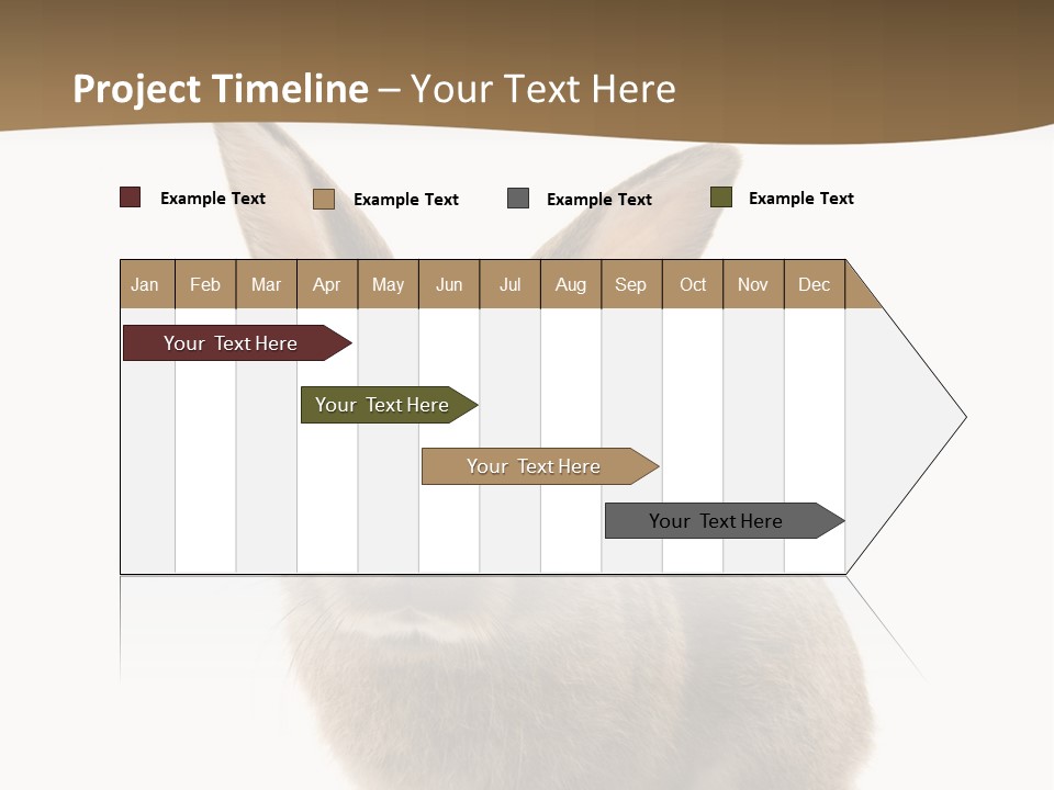 Furry Rodent Bunny PowerPoint Template