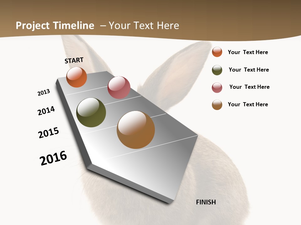 Furry Rodent Bunny PowerPoint Template