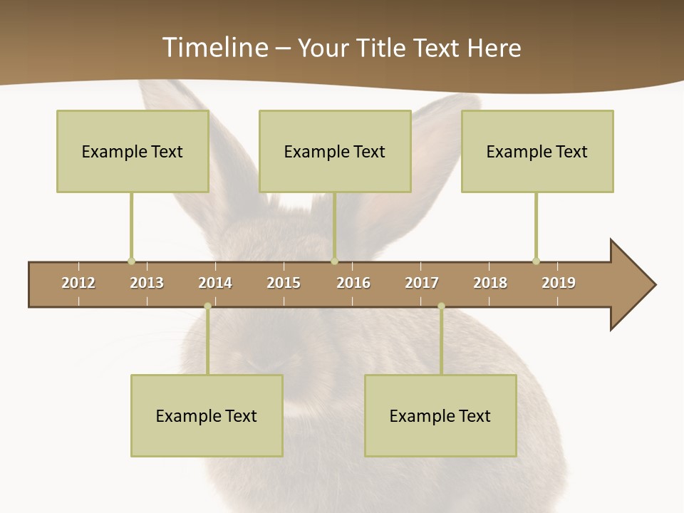 Furry Rodent Bunny PowerPoint Template
