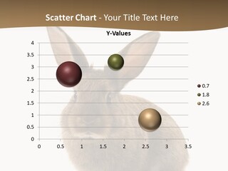 Furry Rodent Bunny PowerPoint Template