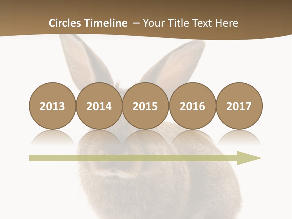 Furry Rodent Bunny PowerPoint Template