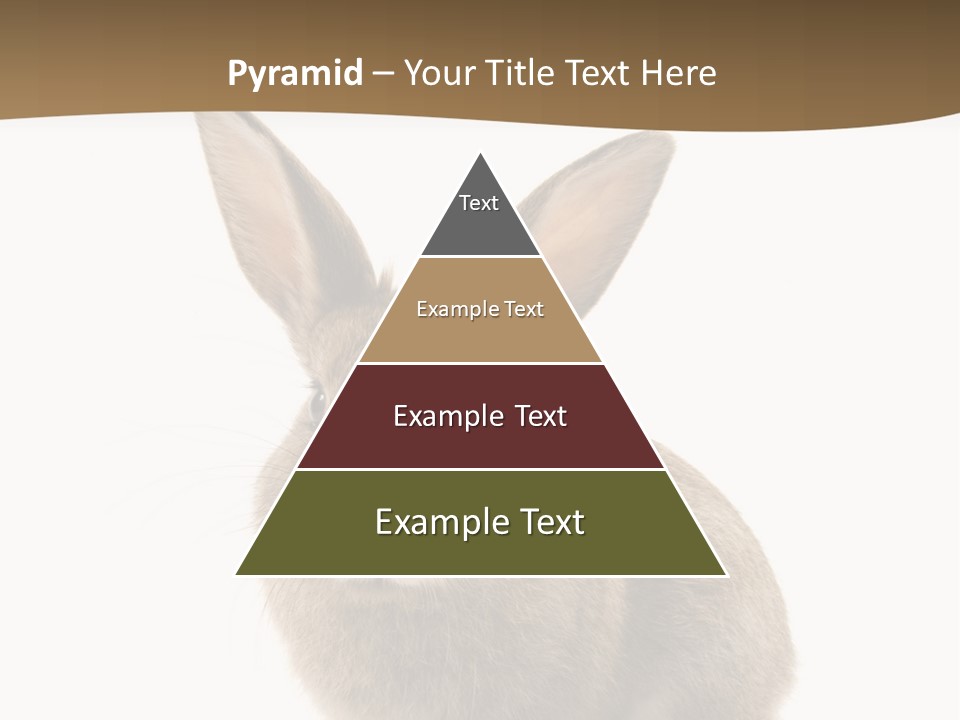 Furry Rodent Bunny PowerPoint Template