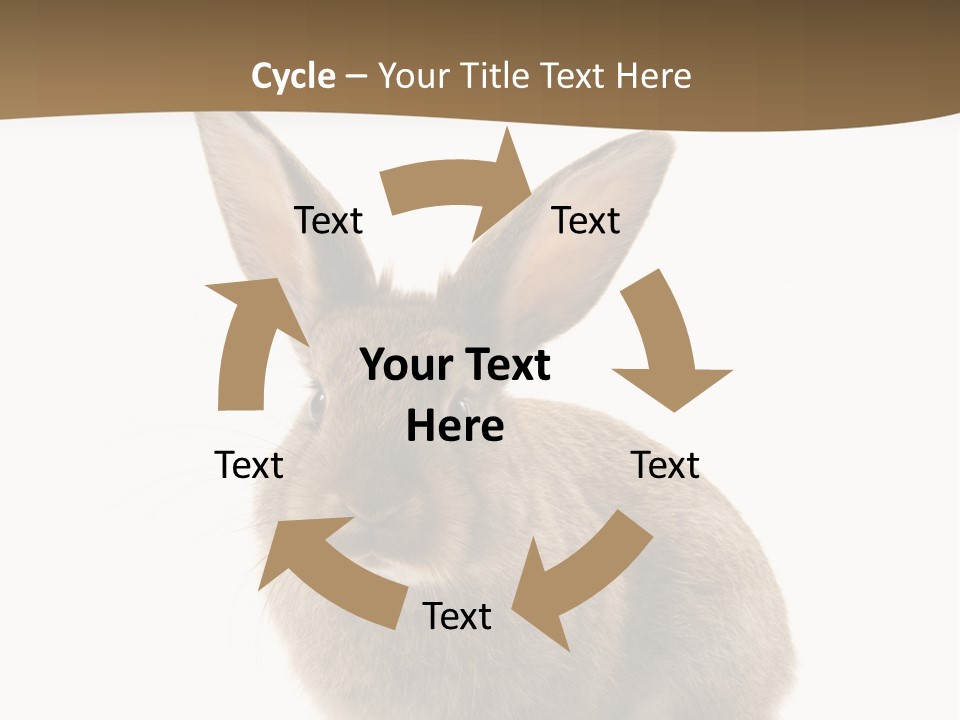 Furry Rodent Bunny PowerPoint Template