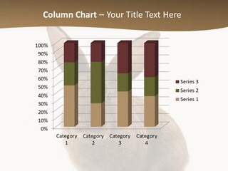 Furry Rodent Bunny PowerPoint Template