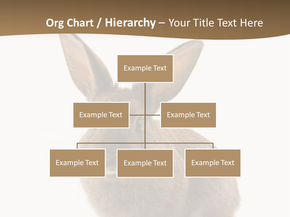 Furry Rodent Bunny PowerPoint Template