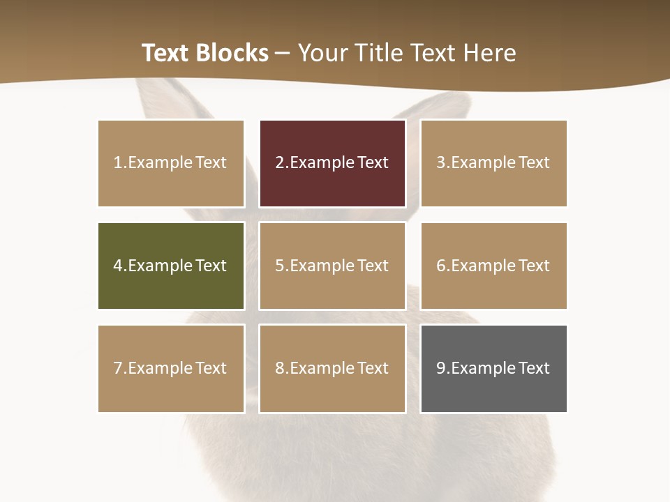 Furry Rodent Bunny PowerPoint Template