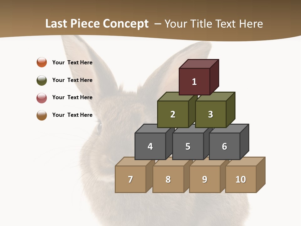 Furry Rodent Bunny PowerPoint Template