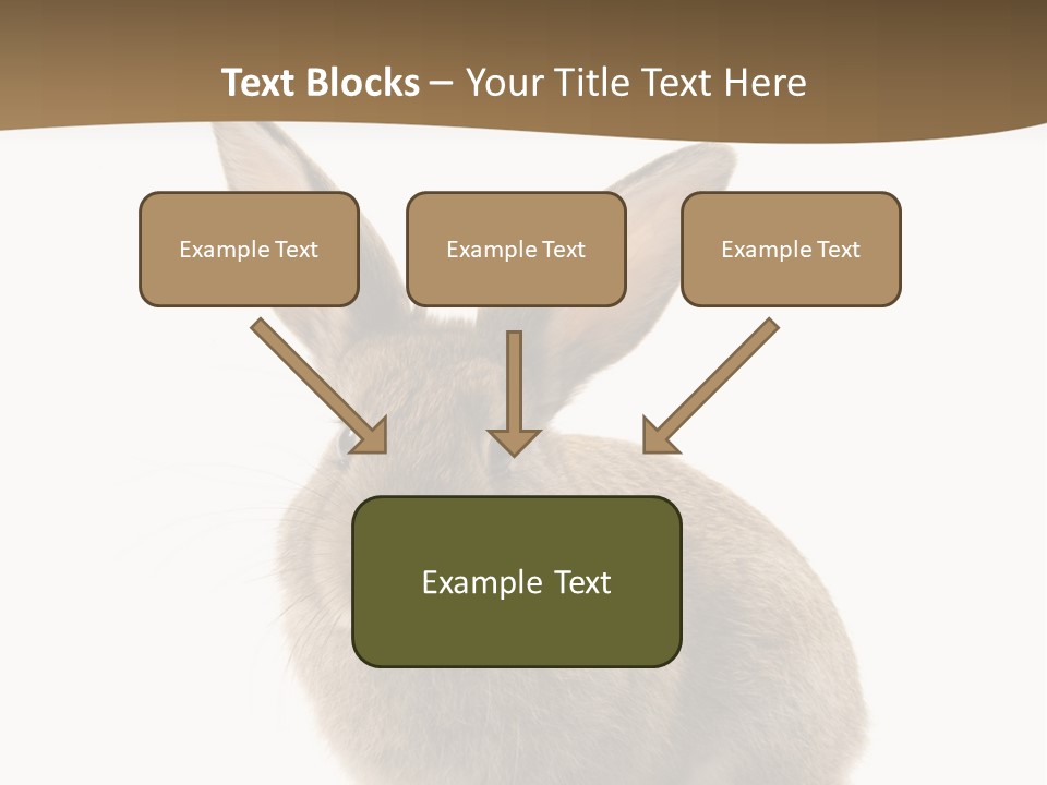 Furry Rodent Bunny PowerPoint Template
