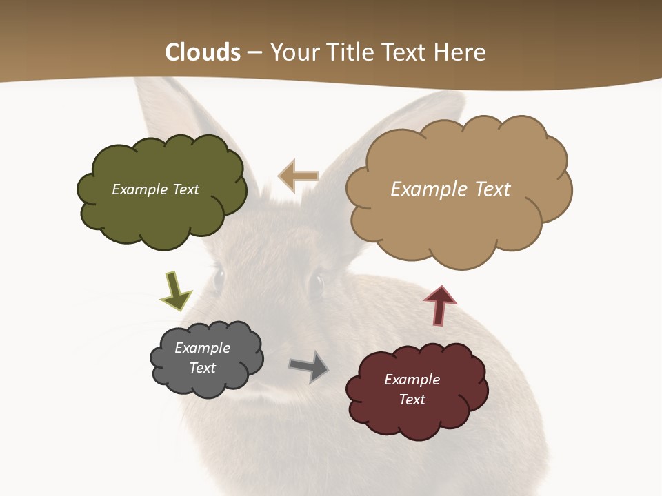 Furry Rodent Bunny PowerPoint Template