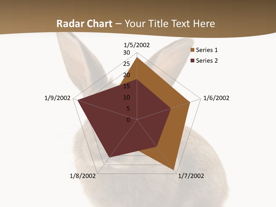 Furry Rodent Bunny PowerPoint Template