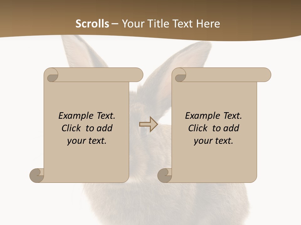 Furry Rodent Bunny PowerPoint Template
