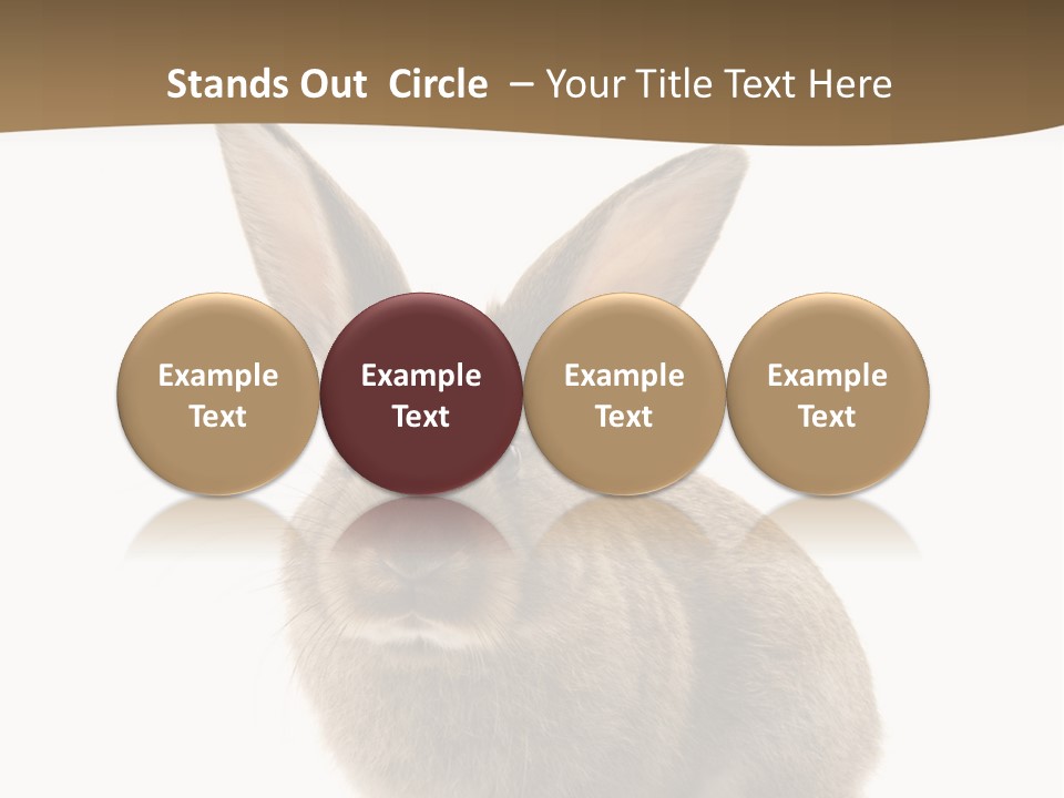 Furry Rodent Bunny PowerPoint Template