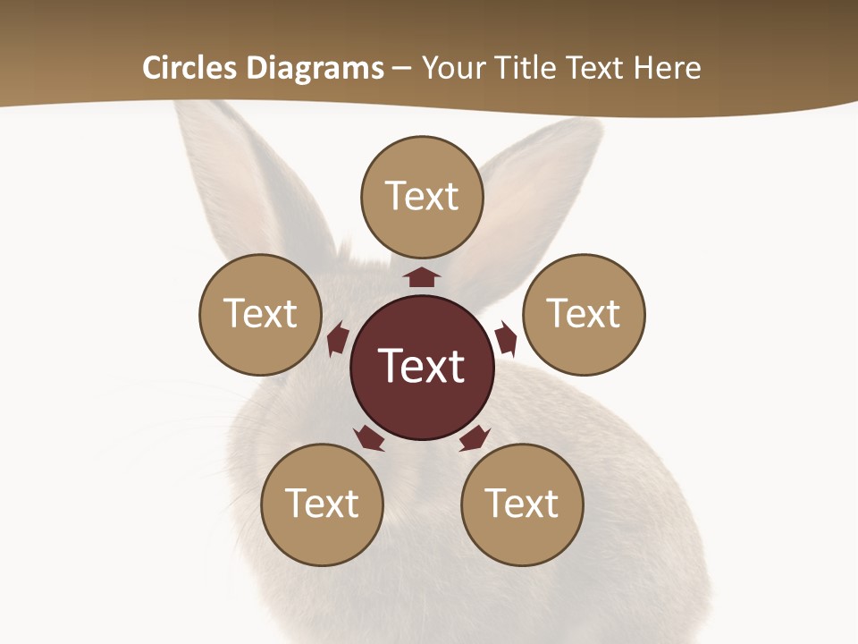 Furry Rodent Bunny PowerPoint Template
