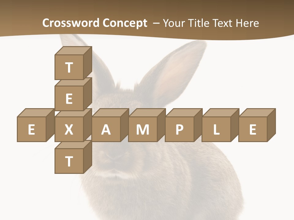 Furry Rodent Bunny PowerPoint Template