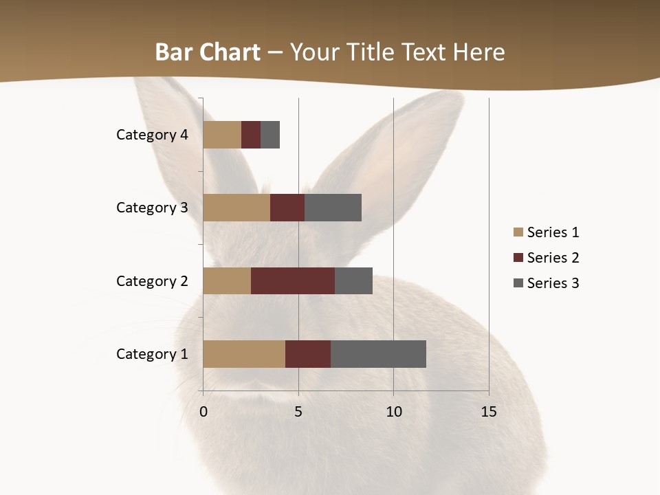 Furry Rodent Bunny PowerPoint Template