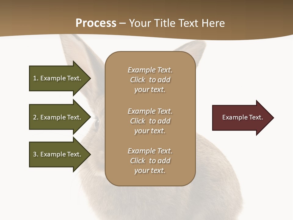 Furry Rodent Bunny PowerPoint Template