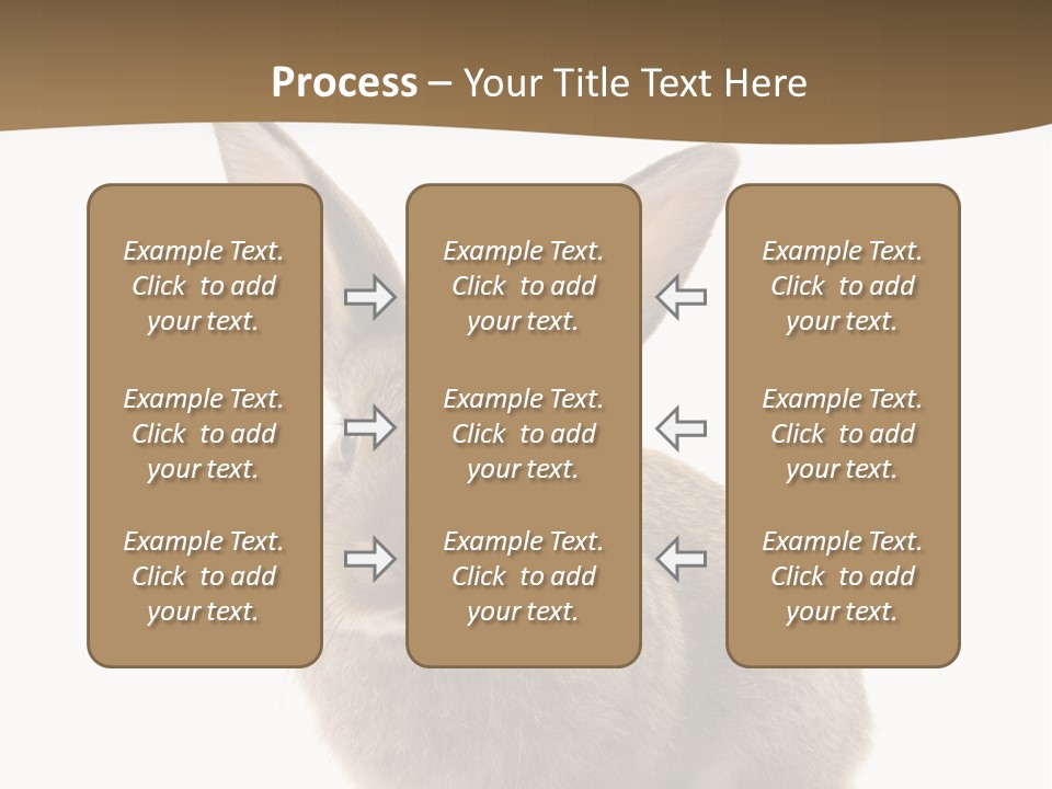 Furry Rodent Bunny PowerPoint Template
