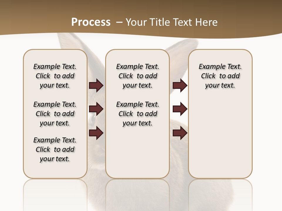 Furry Rodent Bunny PowerPoint Template