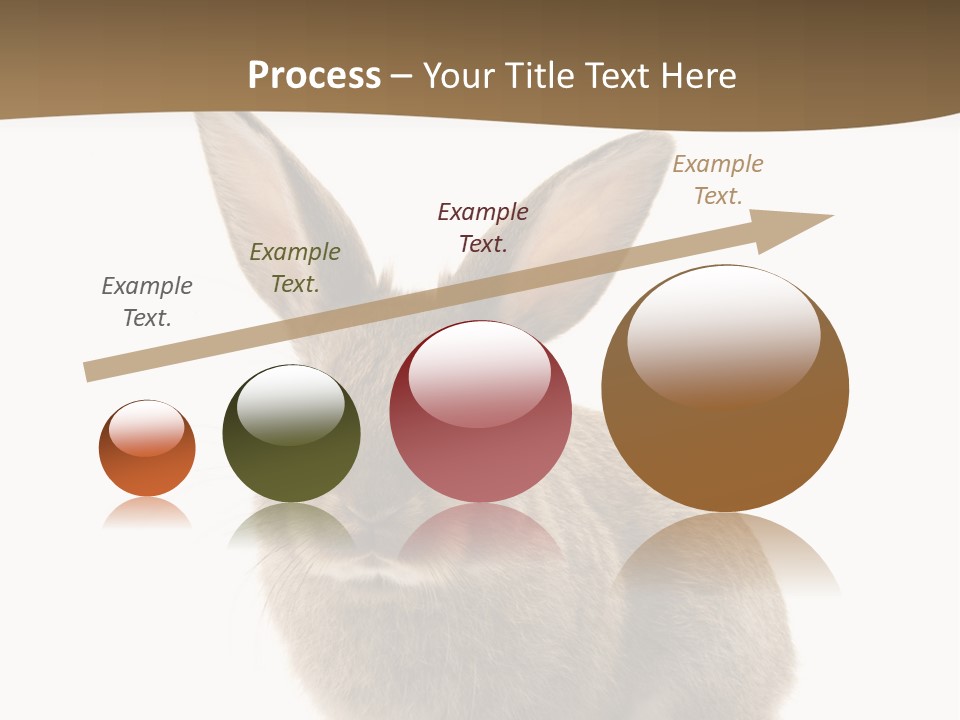 Furry Rodent Bunny PowerPoint Template