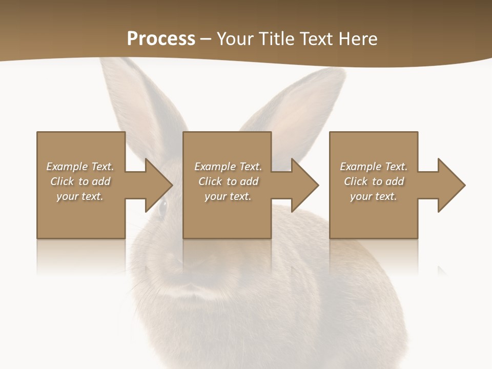Furry Rodent Bunny PowerPoint Template