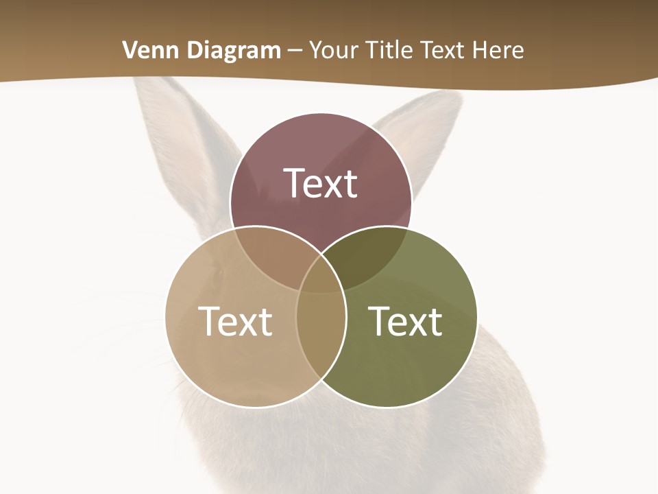 Furry Rodent Bunny PowerPoint Template