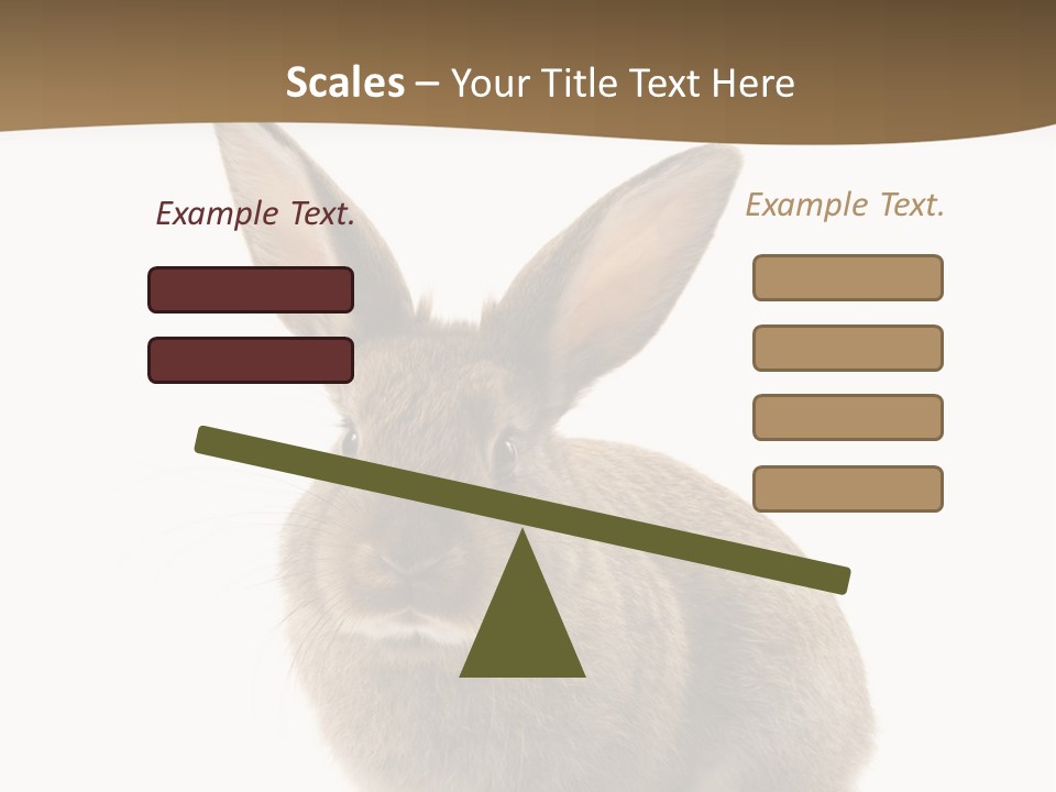 Furry Rodent Bunny PowerPoint Template