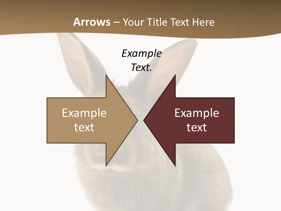 Furry Rodent Bunny PowerPoint Template