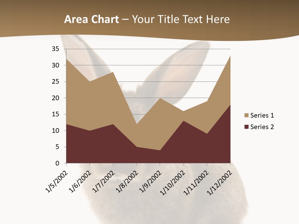 Furry Rodent Bunny PowerPoint Template