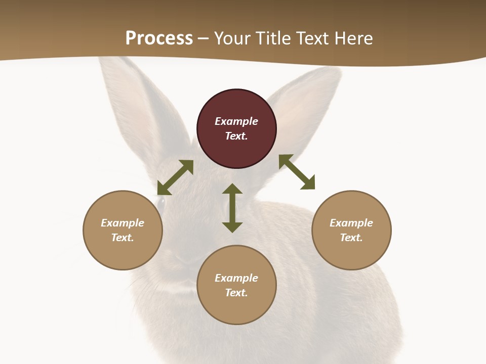 Furry Rodent Bunny PowerPoint Template