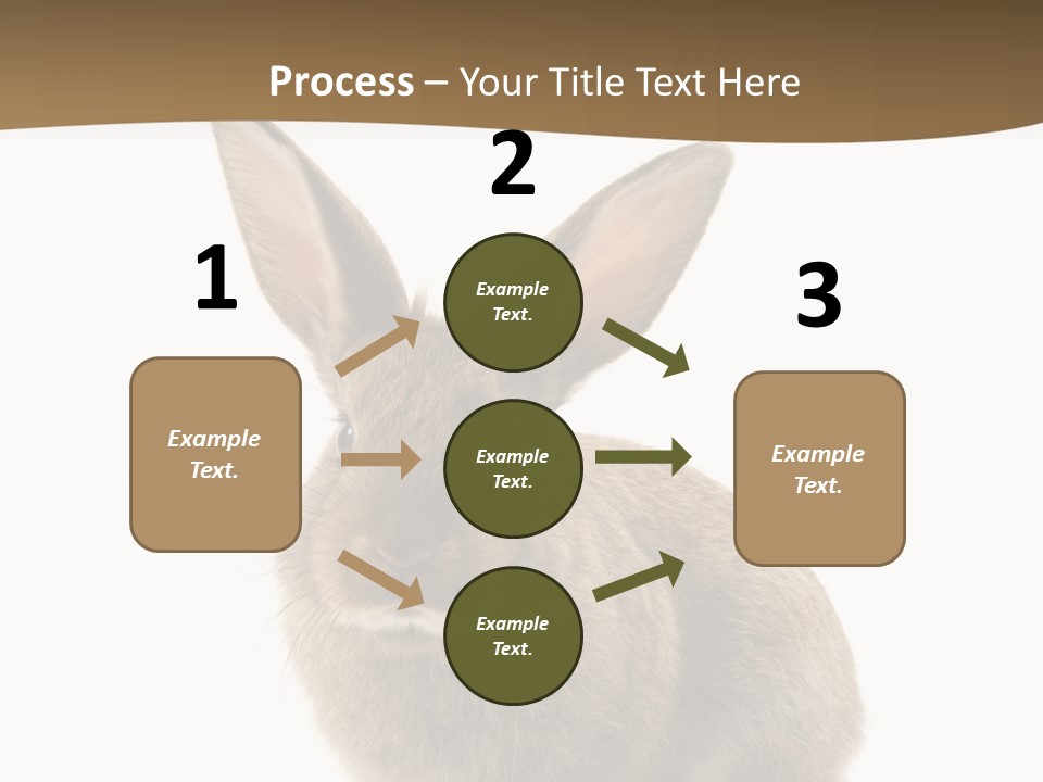 Furry Rodent Bunny PowerPoint Template
