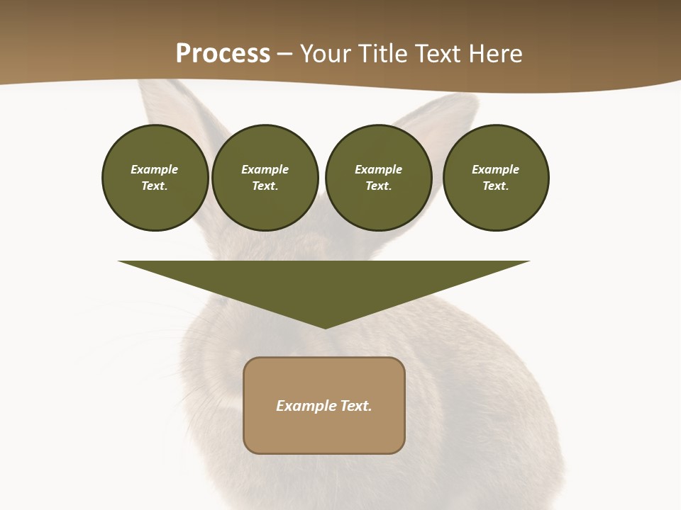 Furry Rodent Bunny PowerPoint Template