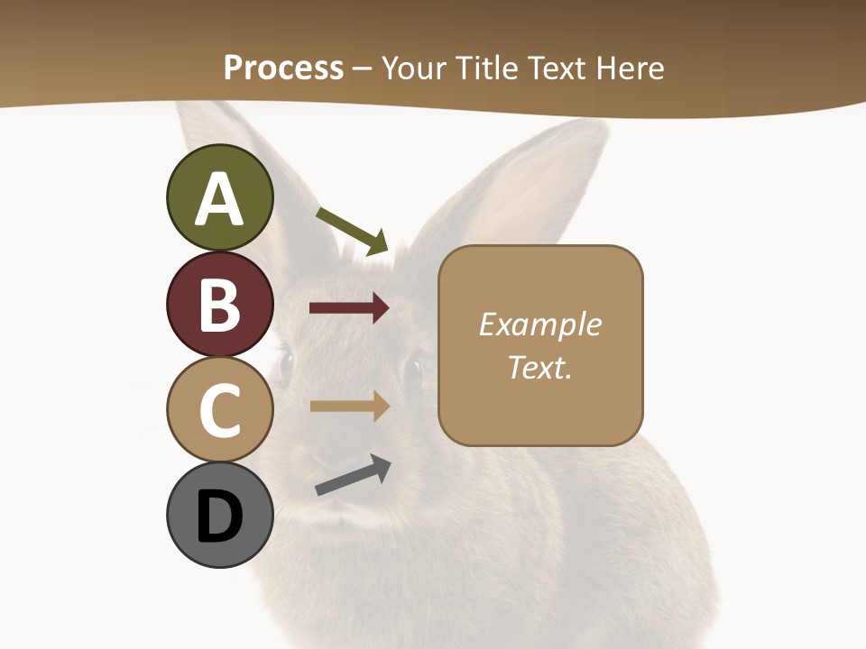 Furry Rodent Bunny PowerPoint Template