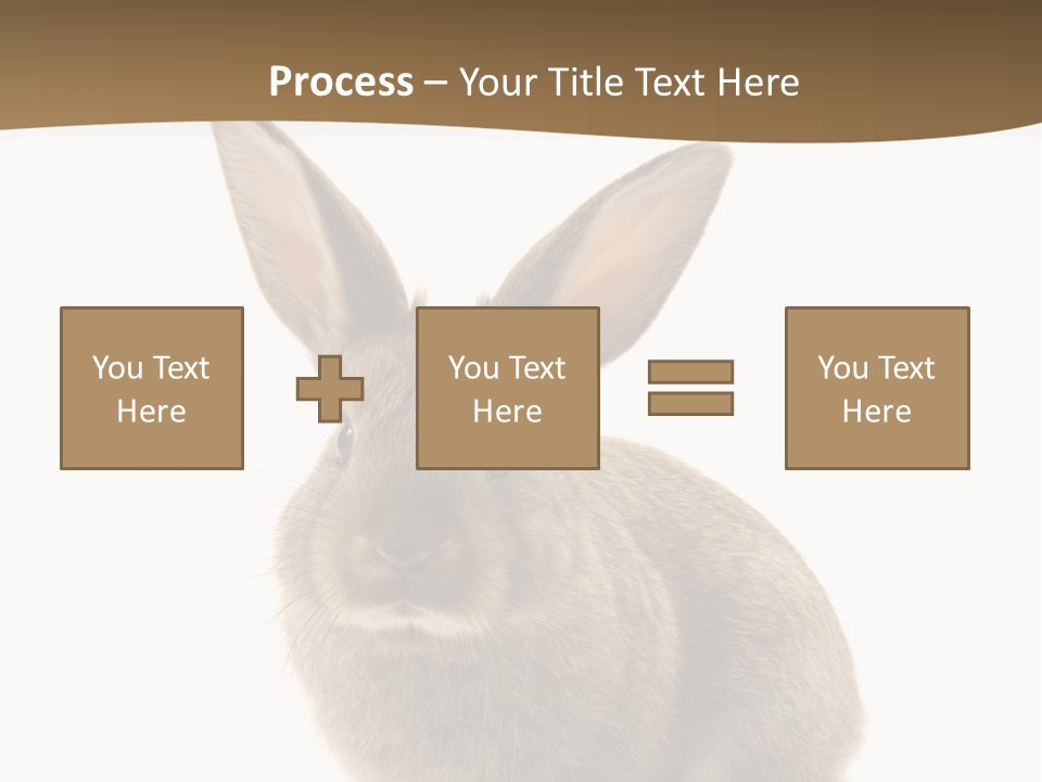 Furry Rodent Bunny PowerPoint Template