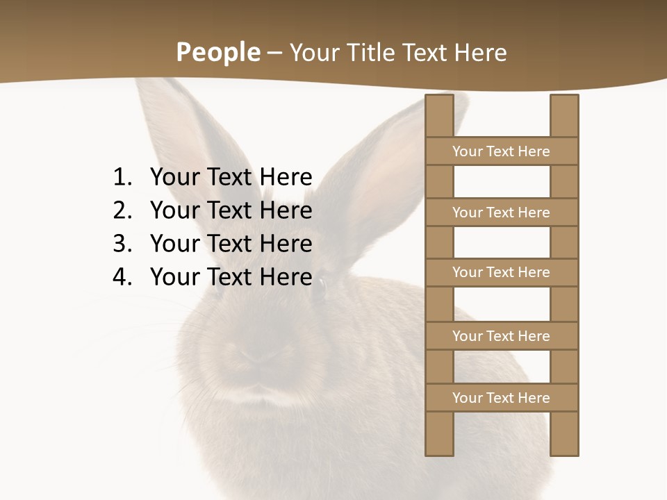 Furry Rodent Bunny PowerPoint Template
